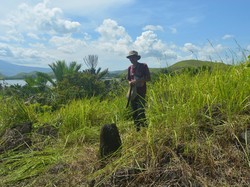 Wow! Ditemukan Situs Megalitik Abar Tempat Pemujaan Leluhur