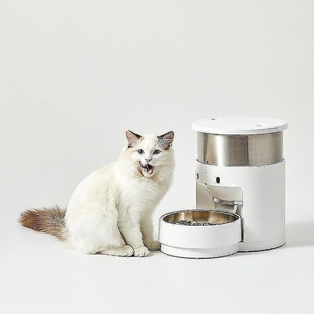 Smart pet feeder