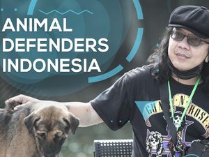 Melawan Peracun Anjing! Melawan Peracun Anjing!