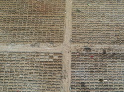 Pemprov DKI Mulai Gunakan Lahan Tambahan TPU Rorotan untuk Jenazah COVID