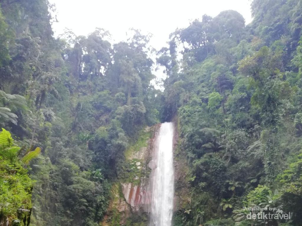 Menyambangi Curug Seribu, Permata di TN Gunung Halimun Salak Menyambangi Curug Seribu, Permata di TN Gunung Halimun Salak
