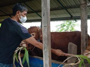 Doa dan Niat Berkurban Idul Adha serta Waktu Membacanya Doa dan Niat Berkurban Idul Adha serta Waktu Membacanya