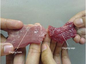 Heboh Nasi Padang Babi, Ini Cara Mengecek Dagingnya