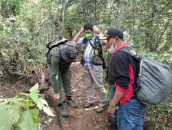Lagi, ProFauna Indonesia Temukan Potongan Tubuh Lutung Jawa yang Mati Diburu