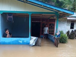 Banjir di Kapuas Hulu Kalbar: 5.002 Rumah Terendam-1.681 Warga Mengungsi