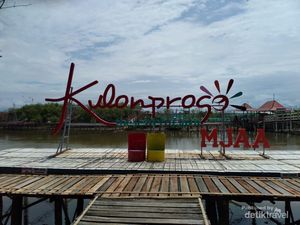 Hutan Bakau di Kulon Progo yang Disulap Jadi Tempat Wisata Hutan Bakau di Kulon Progo yang Disulap Jadi Tempat Wisata