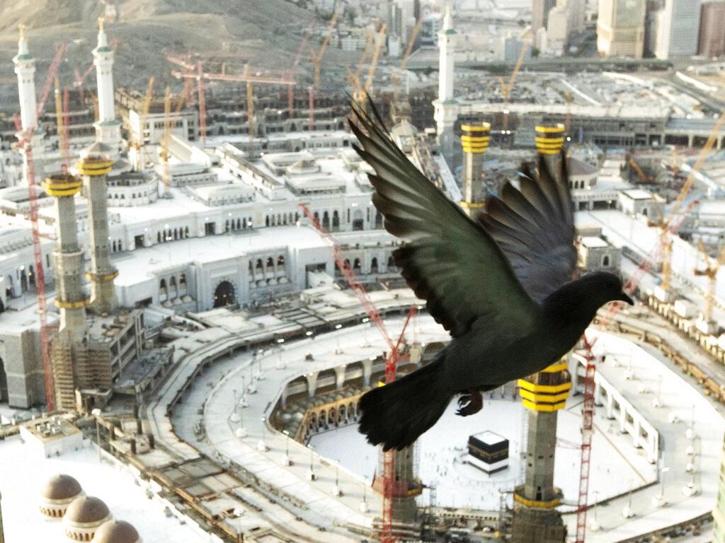 Maju Mundur ke Arab Saudi, Operator: Umrah Bukan Wisata, tapi Ibadah