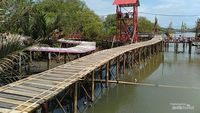 Potret Mangrove Kulon Progo, Pesona Hutan Bakau Seluas 3 Hektar Lebih