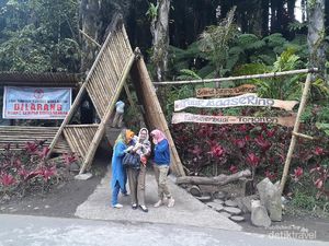 Tuur Maasering, Wisata Hutan Aren dengan Spot Instagramable Tuur Maasering, Wisata Hutan Aren dengan Spot Instagramable
