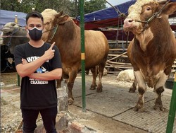 Kurban 40 Hewan, Raffi Ahmad Hadiahkan Sapi untuk Nakes