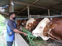 Ini Imbauan Bupati Untuk Warga Kediri Saat Idul Adha