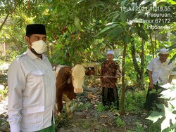 Momen Idul Adha, Kader Gerindra Jatim Sumbang 144 Hewan Kurban ke Masyarakat