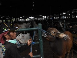 Pemprov DKI Wanti-wanti Panitia Kurban Tak Buang Limbah ke Kali