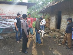 Maling Domba Kurban, Pemuda Garut Terpaksa Lebaran di Tahanan