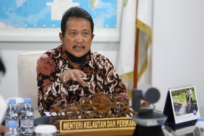 RI Colek Vietnam Perangi Penyelundupan Benih Lobster RI Colek Vietnam Perangi Penyelundupan Benih Lobster