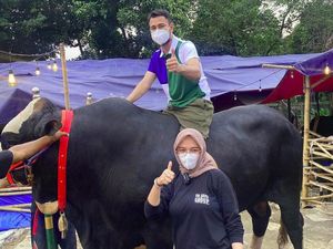 Alhamdulillah! Raffi Ahmad Tambah 10 Sapi dan 10 Kambing untuk Dikurbankan