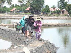 Cerita Kapolda Aceh Bantu Petani Tiram Usai Dapat DM dari Murid SMA