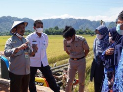 Minta Petani Pangkep Bisa 3 Kali Tanam Setahun, Mentan Beri Alsintan