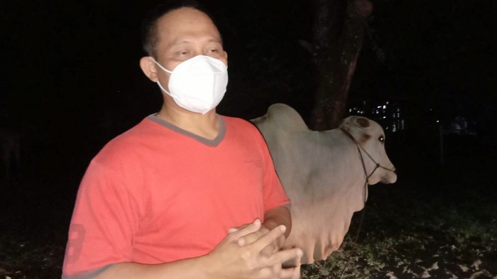 Bupati Kebumen Kurban 10 Sapi Bupati Kebumen Kurban 10 Sapi