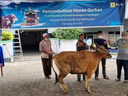 Idul Adha, PLN Group Kurban 1.350 Sapi, 6 Kerbau & 1.621 Kambing