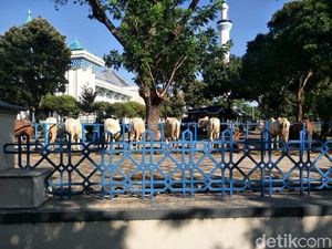 Masjid Al Akbar Surabaya Akan Sembelih Hewan Kurban Besok