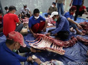 Rukun, Tata Cara dan Doa Menyembelih Hewan Kurban Rukun, Tata Cara dan Doa Menyembelih Hewan Kurban