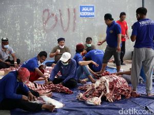 4 Tips Cegah Penularan PMK untuk Panitia Kurban Idul Adha 4 Tips Cegah Penularan PMK untuk Panitia Kurban Idul Adha
