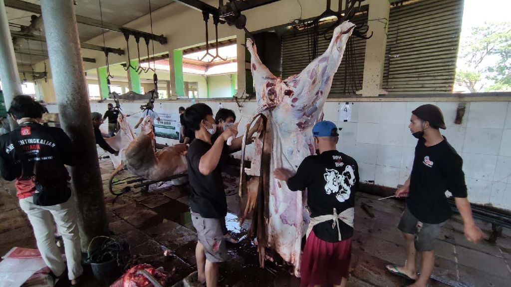 Melihat Kesibukan RPH di Hari Raya Idul Adha Melihat Kesibukan RPH di Hari Raya Idul Adha