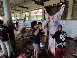 Melihat Kesibukan RPH di Hari Raya Idul Adha Melihat Kesibukan RPH di Hari Raya Idul Adha