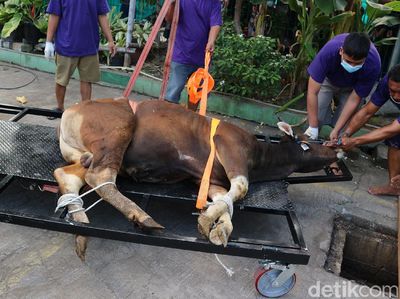 Warga Bekasi Potong Hewan Kurban dengan Prokes Ketat