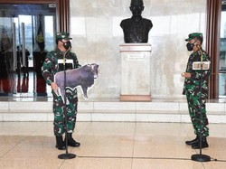 Panglima TNI Kurban 1 Sapi: Bagikan ke yang Berhak Menerima