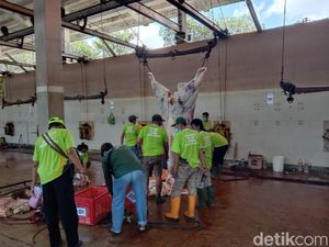 RPH Surabaya Potong 210 Sapi dan 30 Kambing Kurban, Naik 100 Persen
