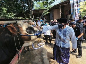 Sandiaga Uno Tebar 1.000 Hewan Kurban di Berbagai Daerah