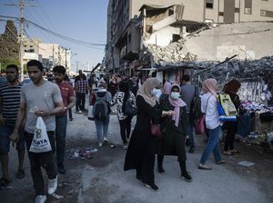 Petani Palestina Lesu, Hasil Panen Zaitun di Palestina Turun Drastis