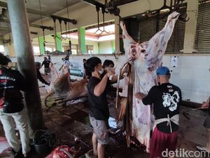 Sibuknya RPH Semarang Saat Idul Adha di Tengah Pandemi Corona Sibuknya RPH Semarang Saat Idul Adha di Tengah Pandemi Corona