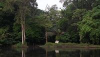 Foto Hutan Lindung Terbesar Afrika, Terlarang untuk Perburuan Minyak