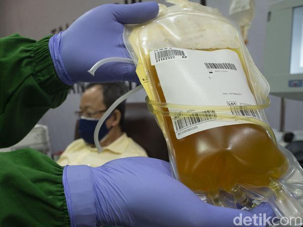 Banyak Dicari, Stok Plasma Konvalesen PMI Menipis