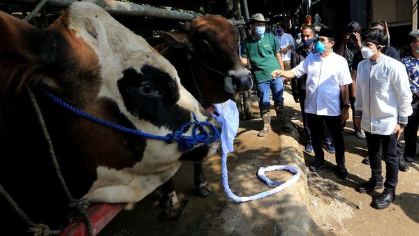 Berbagi Daging Kurban untuk Masyarakat Terdampak Pandemi