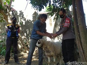 Berkah Pedagang di Garut Imbas Uang Kurban Dimakan Rayap