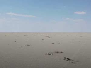 Ribuan Burung Flamingo Mati di Dasar Danau Turki, Kenapa?