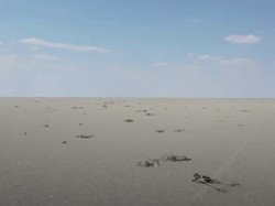 Ribuan Burung Flamingo Mati di Dasar Danau Turki, Kenapa?