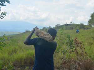 Fosil Kayu, Bahan Baku Terbaik Batu Akik dari Papua