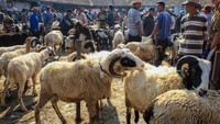 Bacaan Niat Kurban untuk Diri Sendiri dan Keluarga