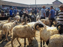 Sejarah dan Asal Usul Idul Adha hingga Turunnya Perintah Kurban