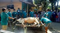 Ini Dia Alat Jagal Portabel Buatan Warga Pekalongan