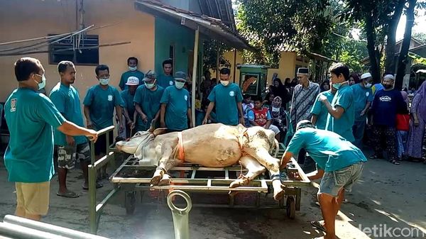 Ini Dia Alat Jagal Portabel Buatan Warga Pekalongan