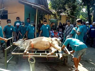 Ini Dia Alat Jagal Portabel Buatan Warga Pekalongan