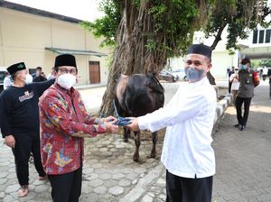 Kurban Sapi, Mendes: Semakin Tulus Kualitas Semakin Baik