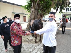 Kurban Sapi, Mendes: Semakin Tulus Kualitas Semakin Baik