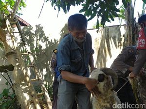 Gagal Kurban Gegara Uang Digerogoti Rayap, Mang Iyad Terima Bantuan Polisi Gagal Kurban Gegara Uang Digerogoti Rayap, Mang Iyad Terima Bantuan Polisi
